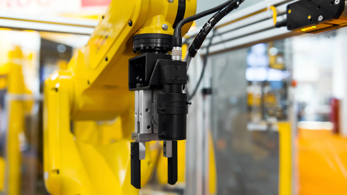 How Do Humans and Collaborative Robots Work Together?
