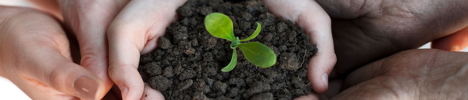 Understanding the Concept of Net Zero Emissions