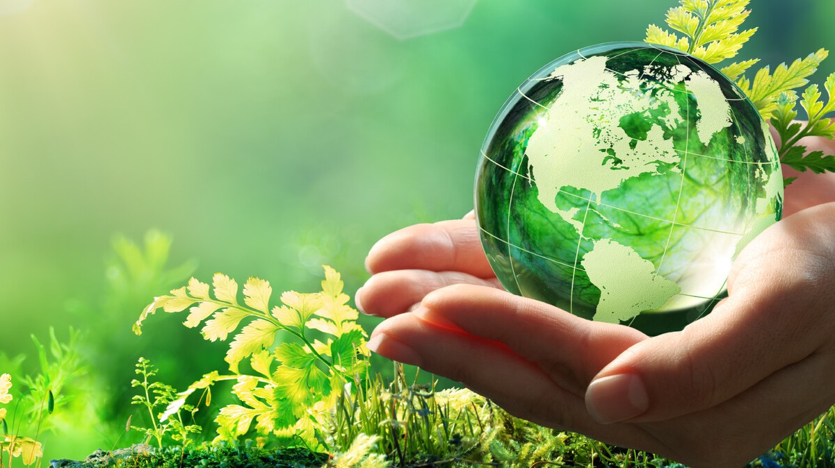 Edible Film Packaging: The Delicious and Eco-Friendly Solution