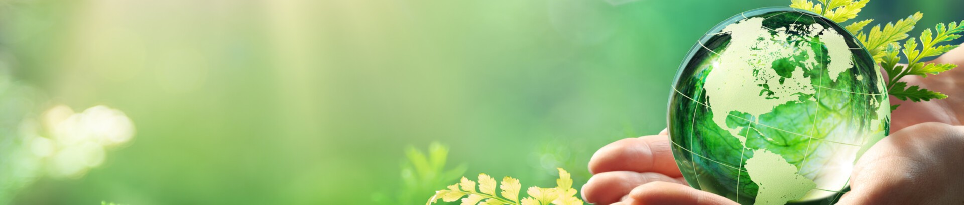 Edible Film Packaging: The Delicious and Eco-Friendly Solution