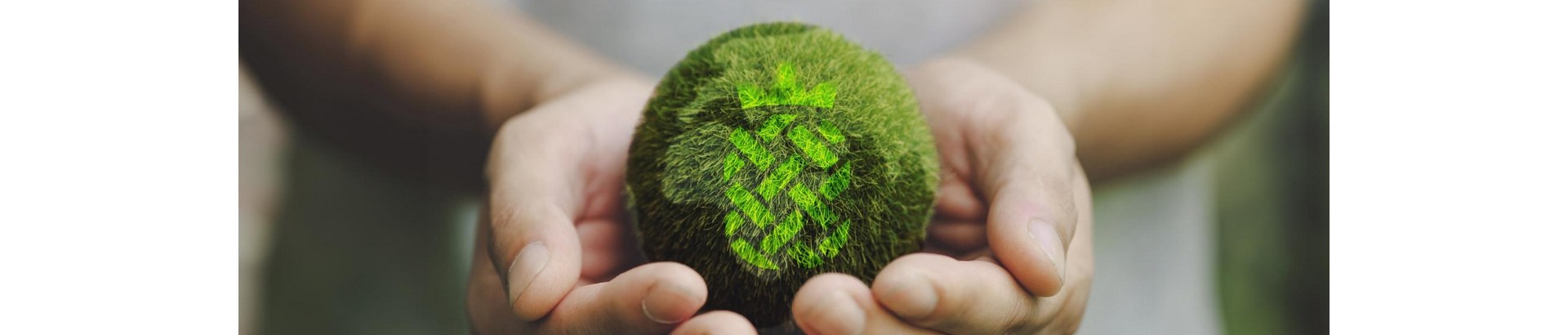 From Pineapple Leaves to Localized Textile Supply: UKL's 2026 PALF Rollout