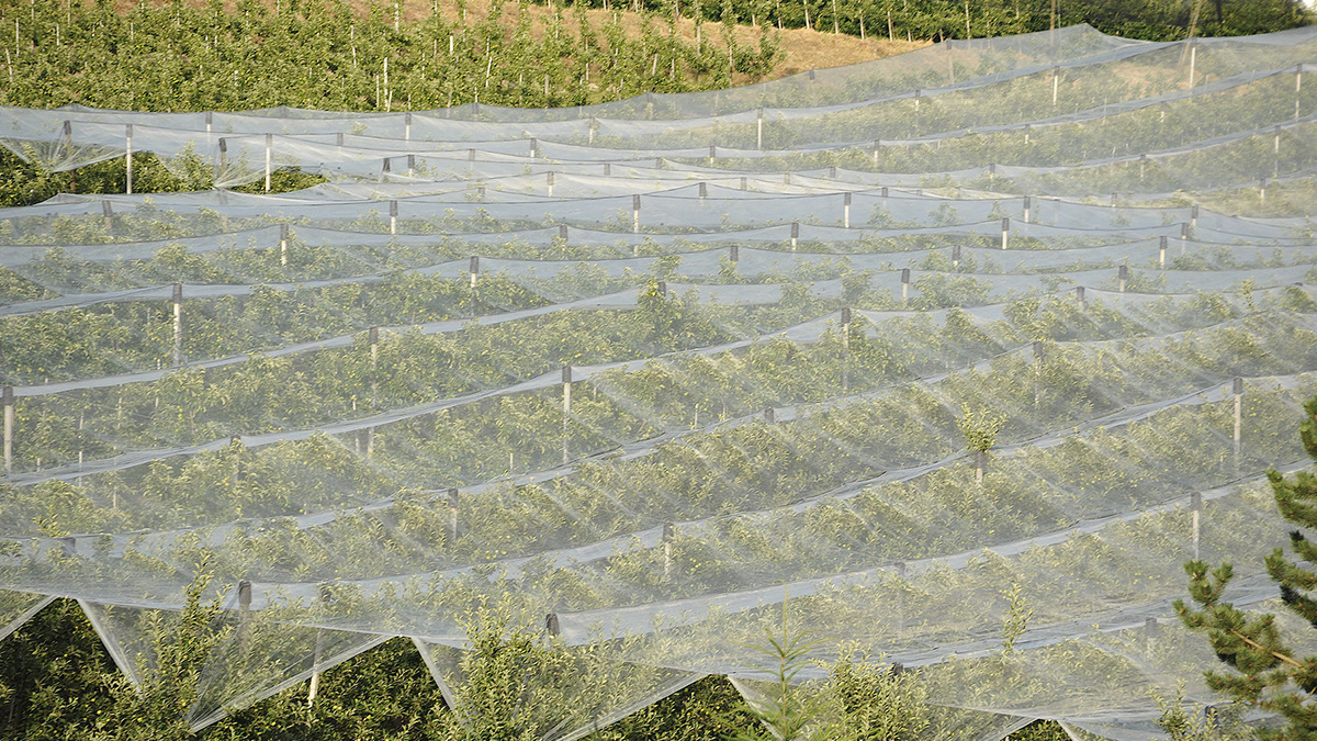 The Characteristics of Non-Woven Fabric and Its Uses in Agriculture