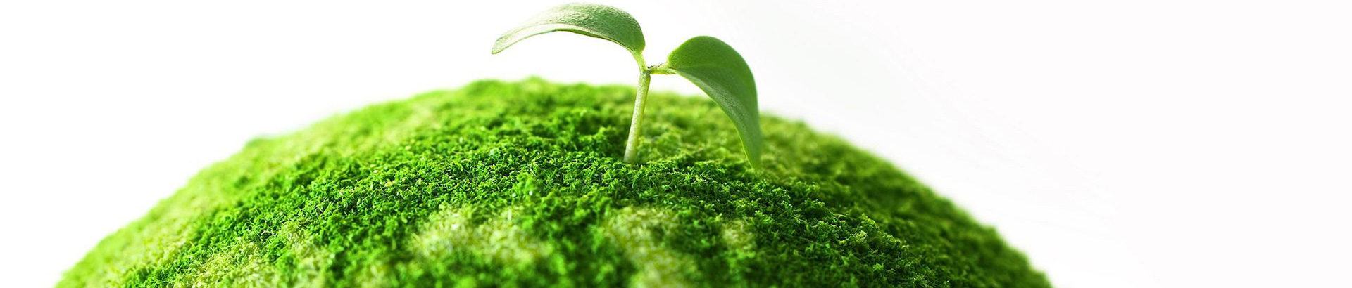 What is the EU Carbon Border Adjustment Mechanism (CBAM)?