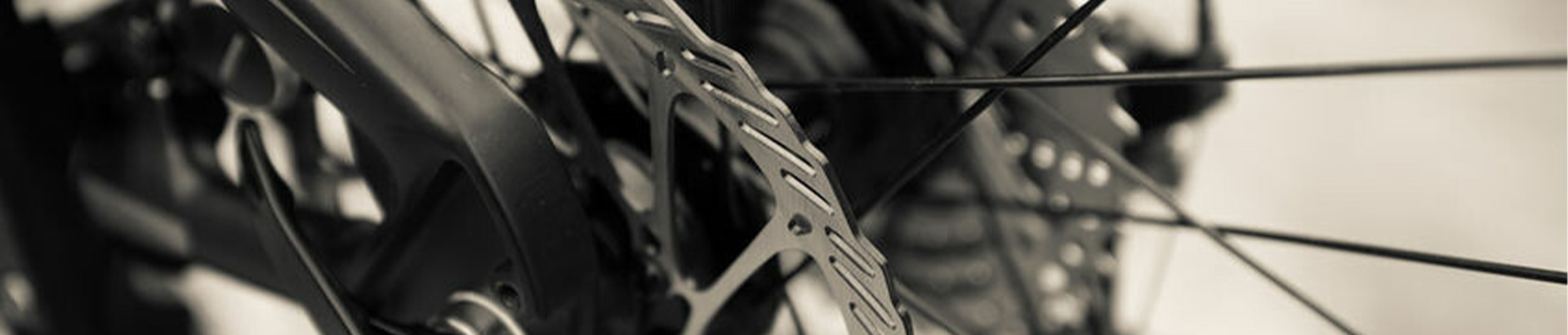 What is the Future of the Bicycle Industry?