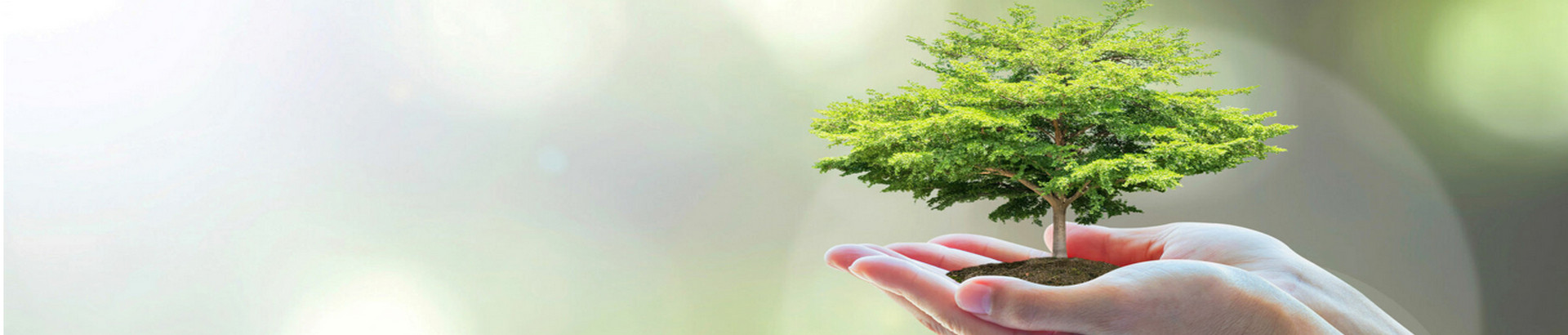 What are SDGs, CSR, ESG? Do You Know the Differences?