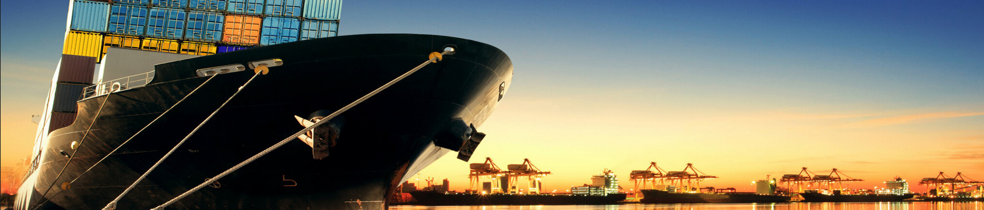 Development Trends and Risks of Global Supply Chains
