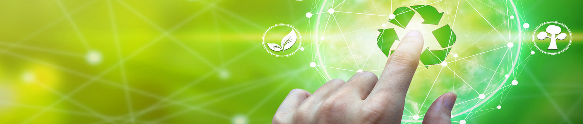 The Importance of a Green Economy for Global Sustainable Development