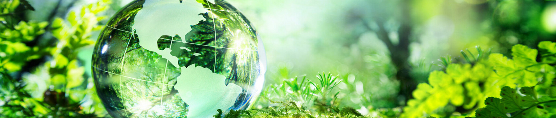 What is Biofuel?