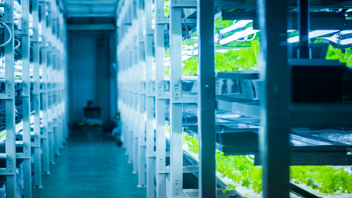 What is "Green Finance"? What Should Companies Do?