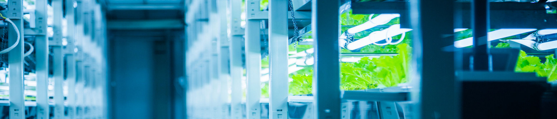 What is "Green Finance"? What Should Companies Do?