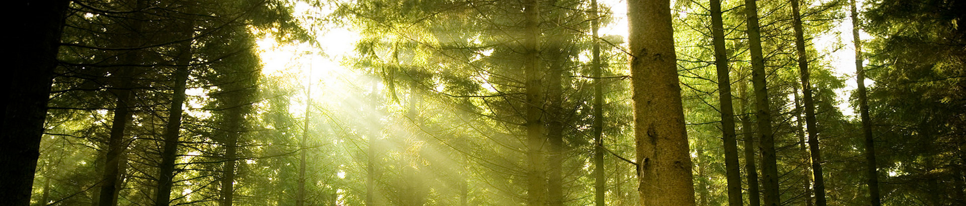 What are Green Building Materials? What is the Environmental Protection Building Materials?
