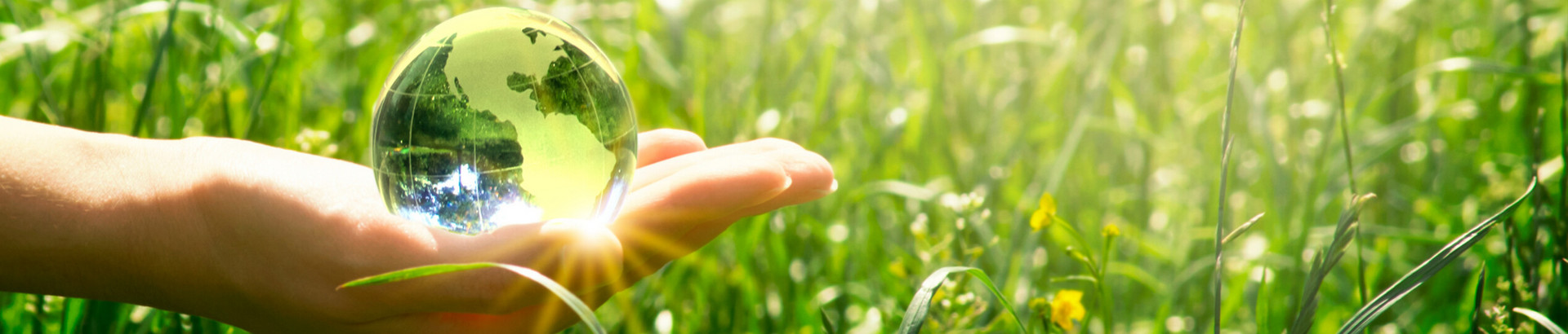 A New Zero-Carbon Future: From Fiber to Environmental-Friendly Processing