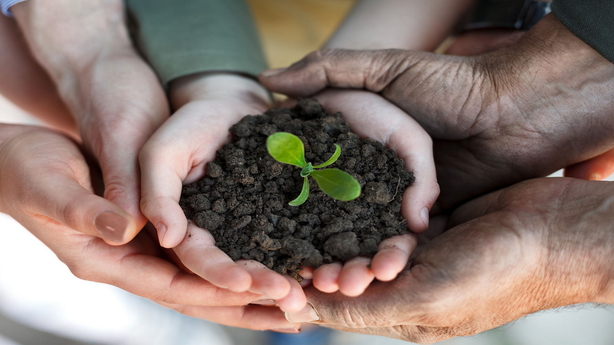 What is Net Zero Emissions?