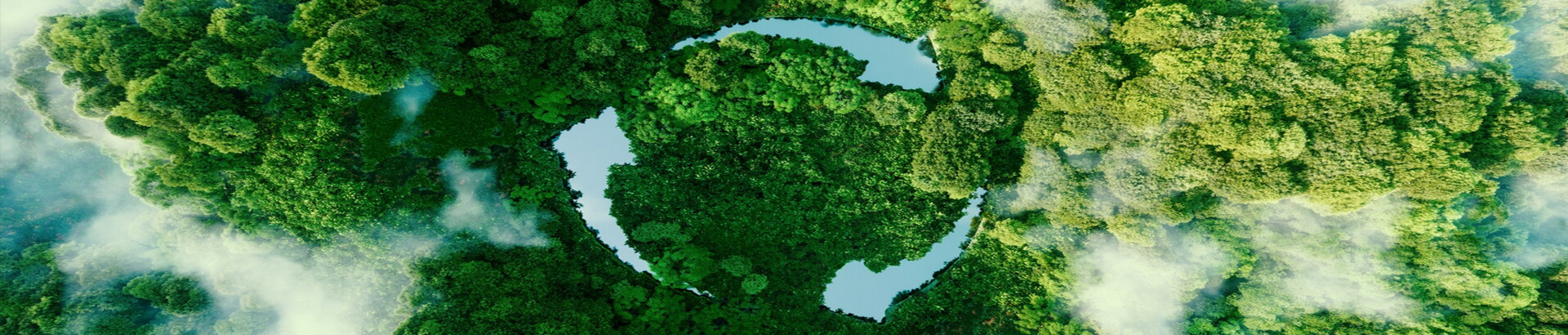 What is Biomass Energy?