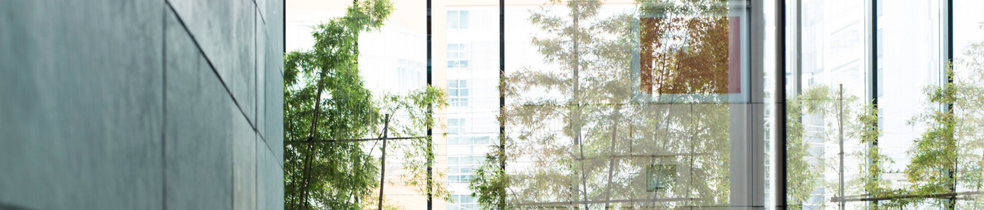 Is Green Building A Future Coexists with The Environment, or Is It the Evolution Direction of Contemporary Engineering?