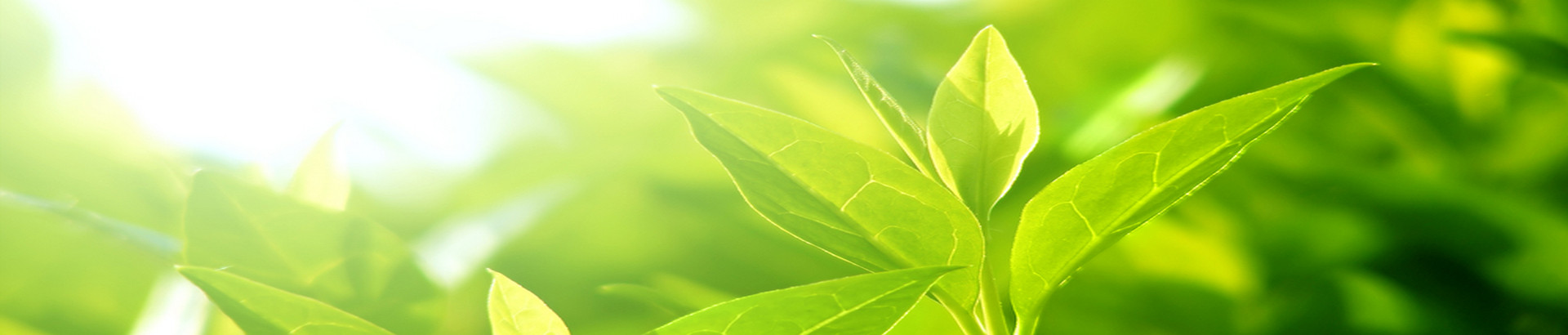 Low-Carbon Production and Global Climate Change