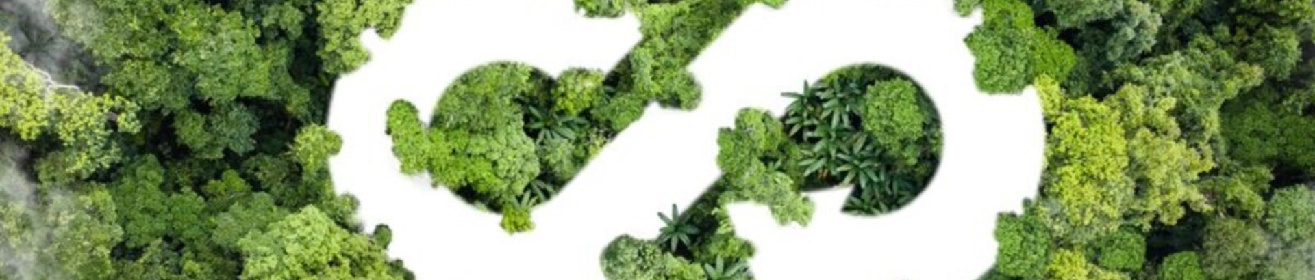 Green Supply Chains: A New Competitive Advantage for Manufacturers