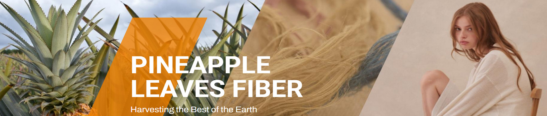UKL Enterprise is Redefining Sustainable Fashion with Pineapple Leaf Fiber Innovation