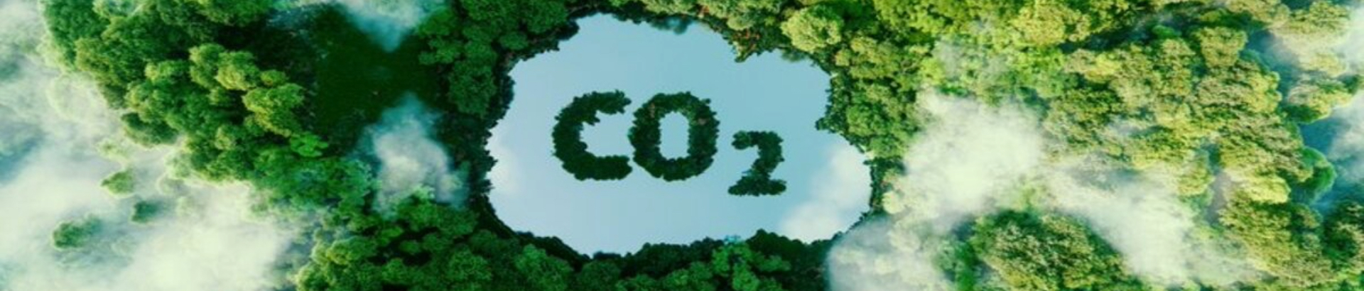 What Should Manufacturers Do After Completing a Carbon Inventory?