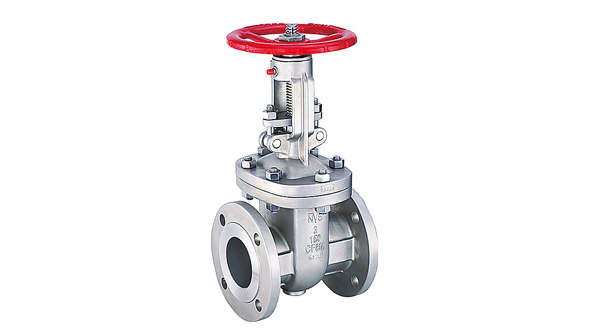 Gate Valve vs. Globe Valve: Why Internal Design Changes Flow and Shutoff Performance