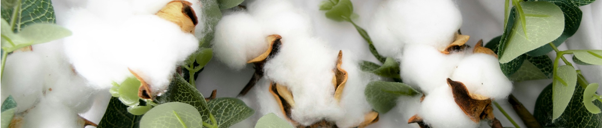 Redefining Makeup Removal: Evolving from Traditional Nonwovens to Medical-Grade Standards
