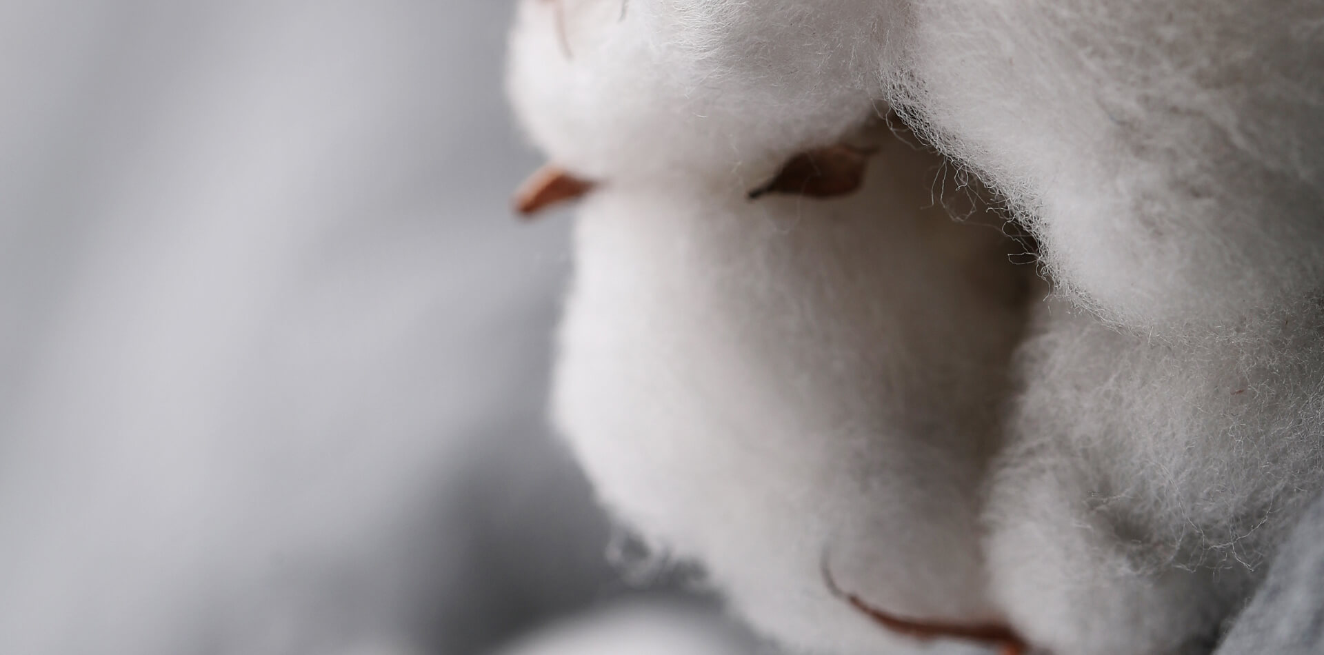 Sustainable Textile Sourcing in 2026: Certification Scope and Natural-Stretch Fabric Evaluation