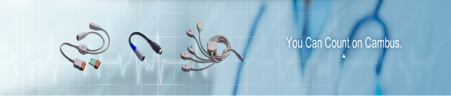 Turning Regulatory Challenges into Your Market Advantage: Cambus's Path to Quality Management