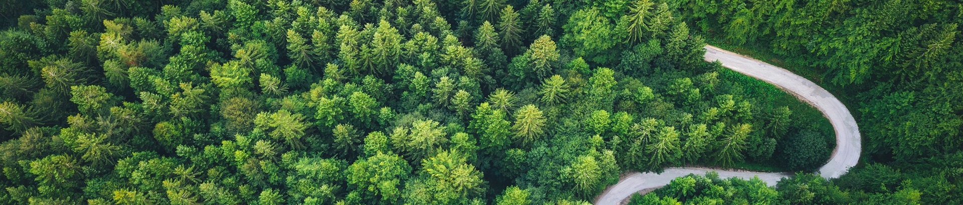 Analysis of Green Plastic Manufacturing