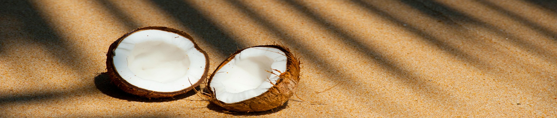 Nata de Coco Unveiled: From Fermentation Science to a Star Ingredient in Modern Beverages