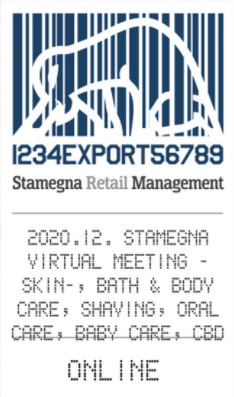 Stamegna Virtual Meeting