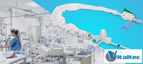 Vitaltec Corporation